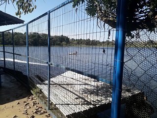 Foto 6